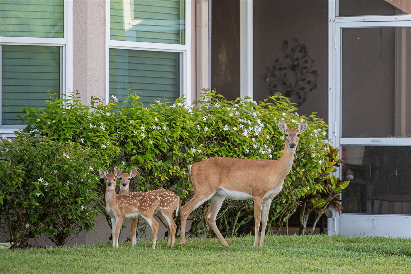 5300 MAHOGANY RUN AVE, SARASOTA, FL, 34241