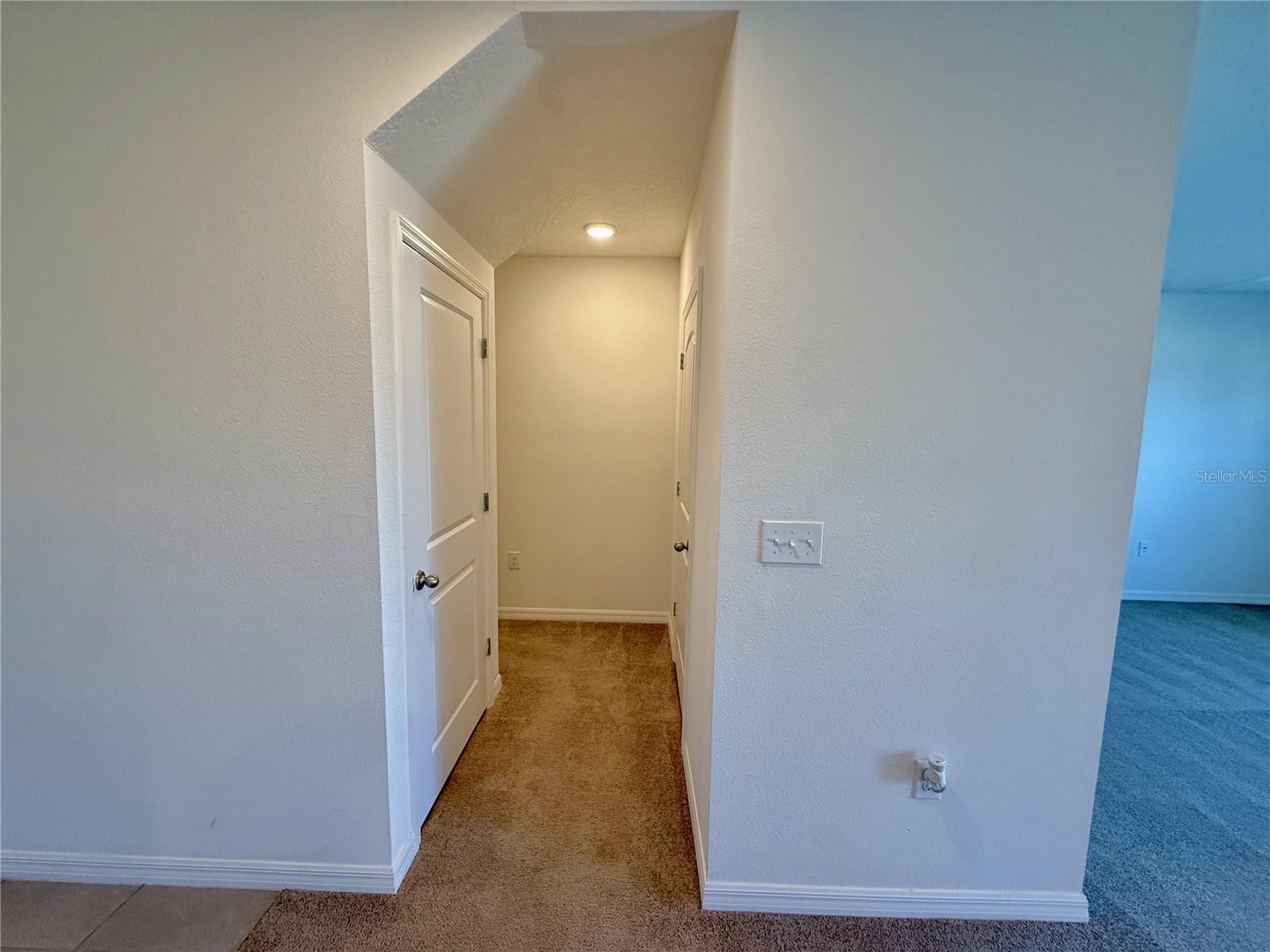 31000 SUMMER SUN LOOP, WESLEY CHAPEL, FL, 33545