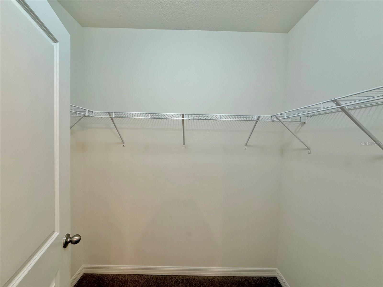 31000 SUMMER SUN LOOP, WESLEY CHAPEL, FL, 33545