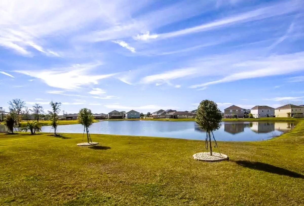 31000 SUMMER SUN LOOP, WESLEY CHAPEL, FL, 33545