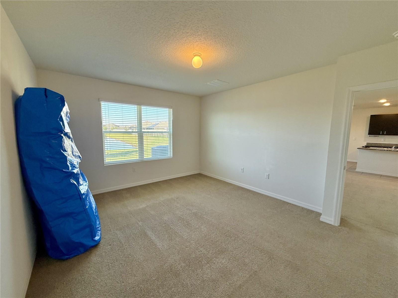 31000 SUMMER SUN LOOP, WESLEY CHAPEL, FL, 33545