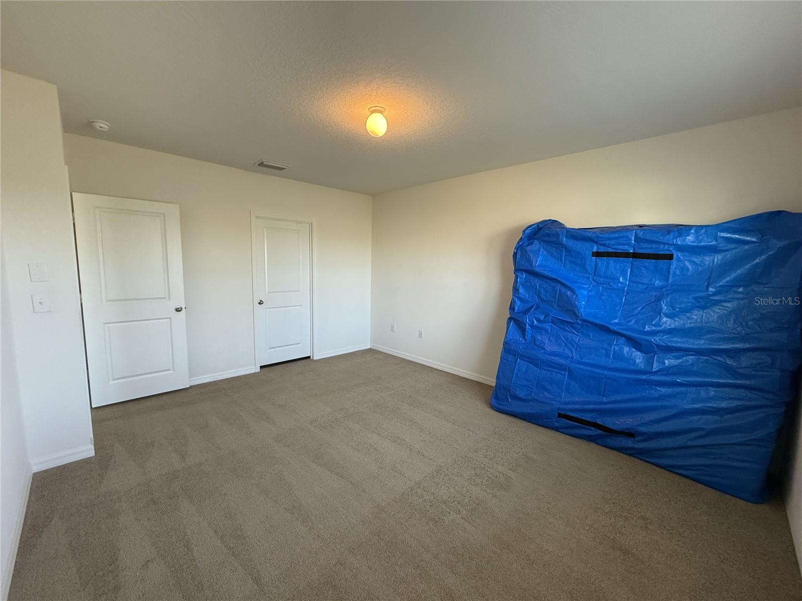 31000 SUMMER SUN LOOP, WESLEY CHAPEL, FL, 33545