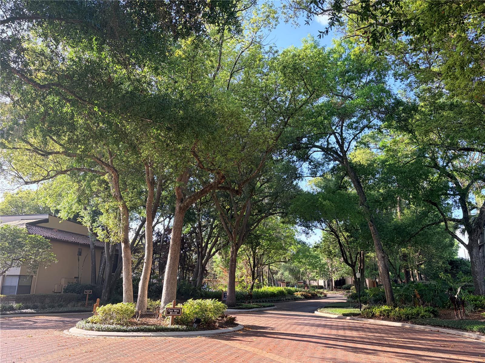 2823 MARSALA CT #2823, ORLANDO, FL, 32806