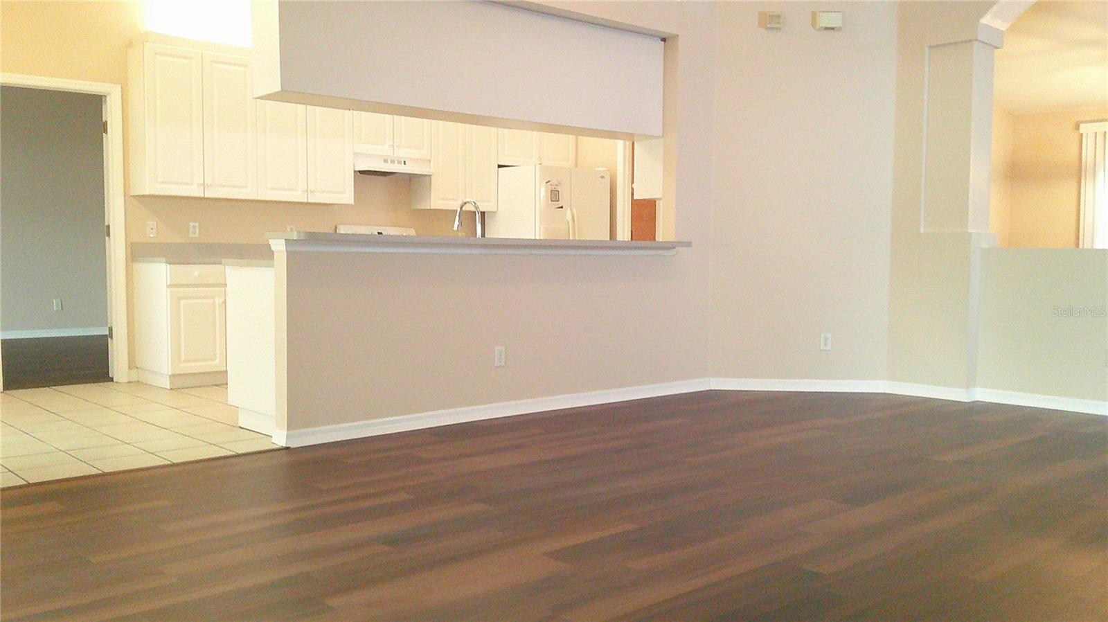 9724 MARY ROBIN DR, RIVERVIEW, FL, 33569