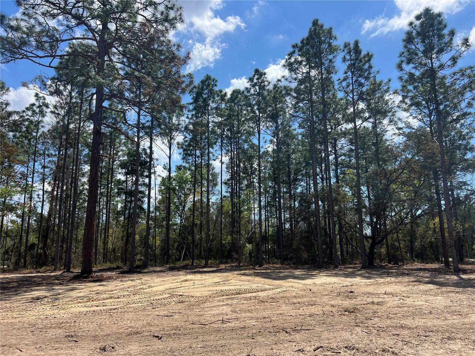 16 SE 136 TER, DUNNELLON, FL, 34431