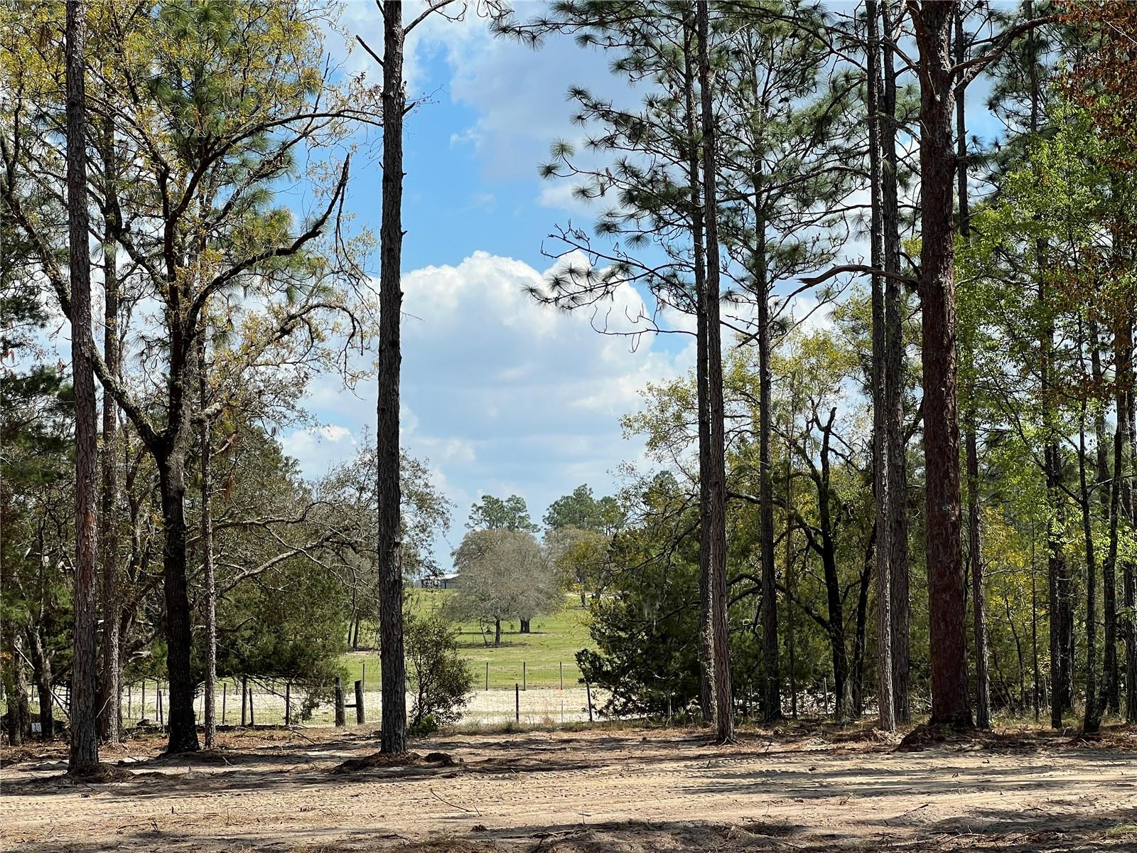 16 SE 136 TER, DUNNELLON, FL, 34431