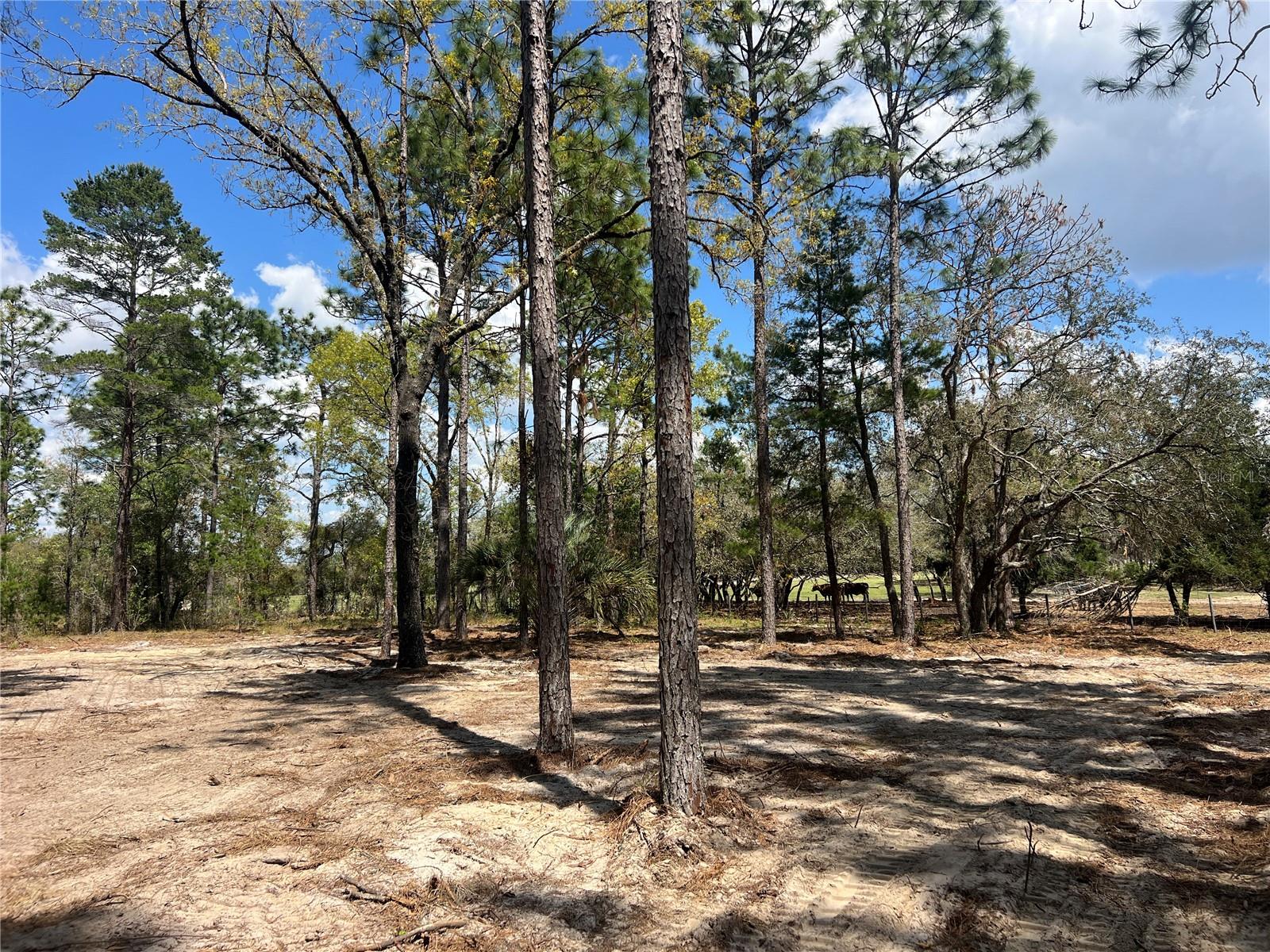 16 SE 136 TER, DUNNELLON, FL, 34431