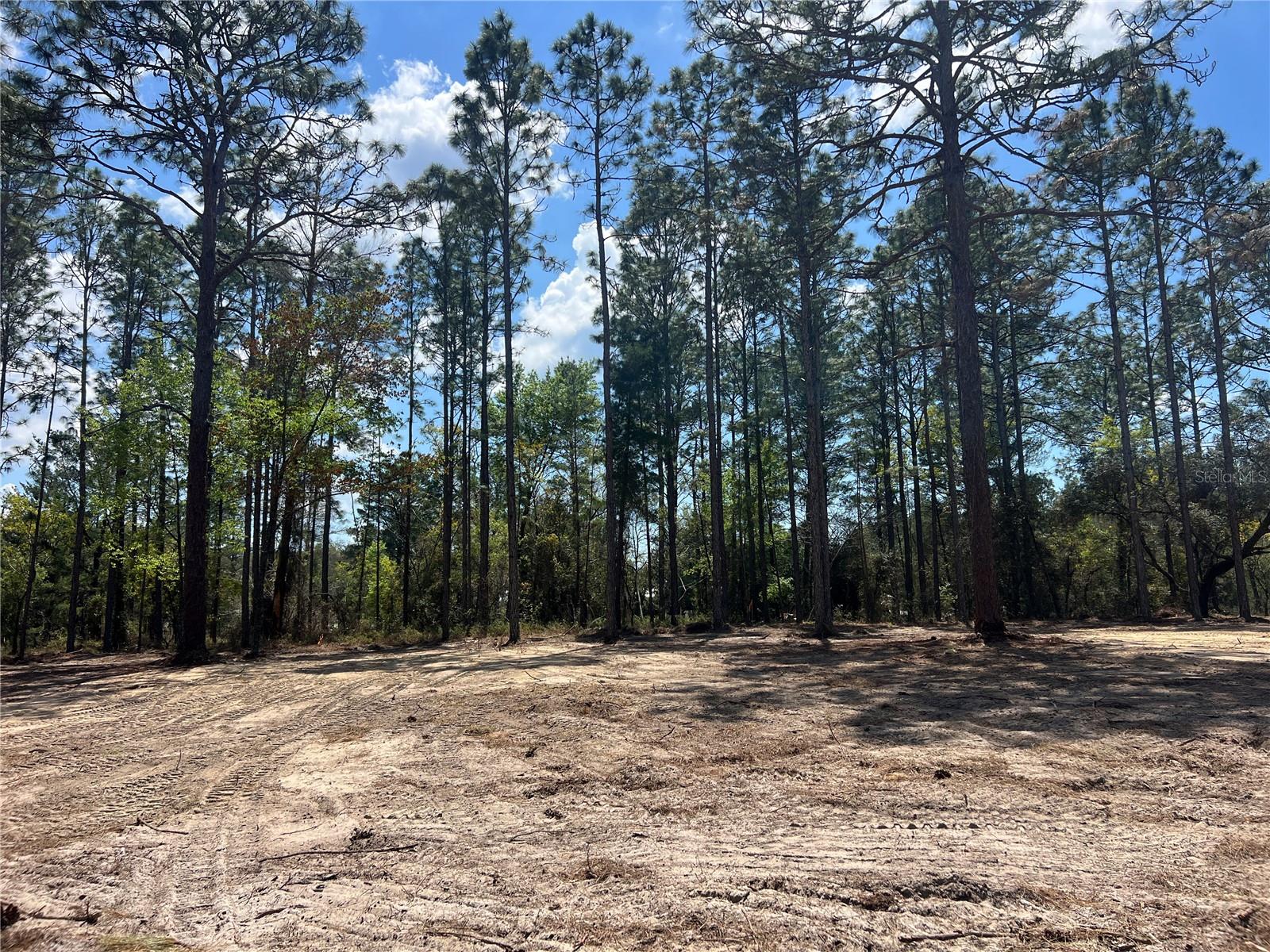 16 SE 136 TER, DUNNELLON, FL, 34431