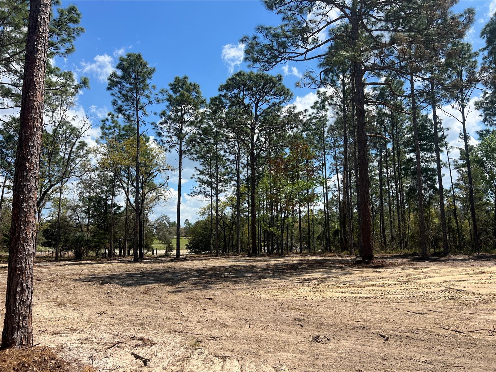 16 SE 136 TER, DUNNELLON, FL, 34431