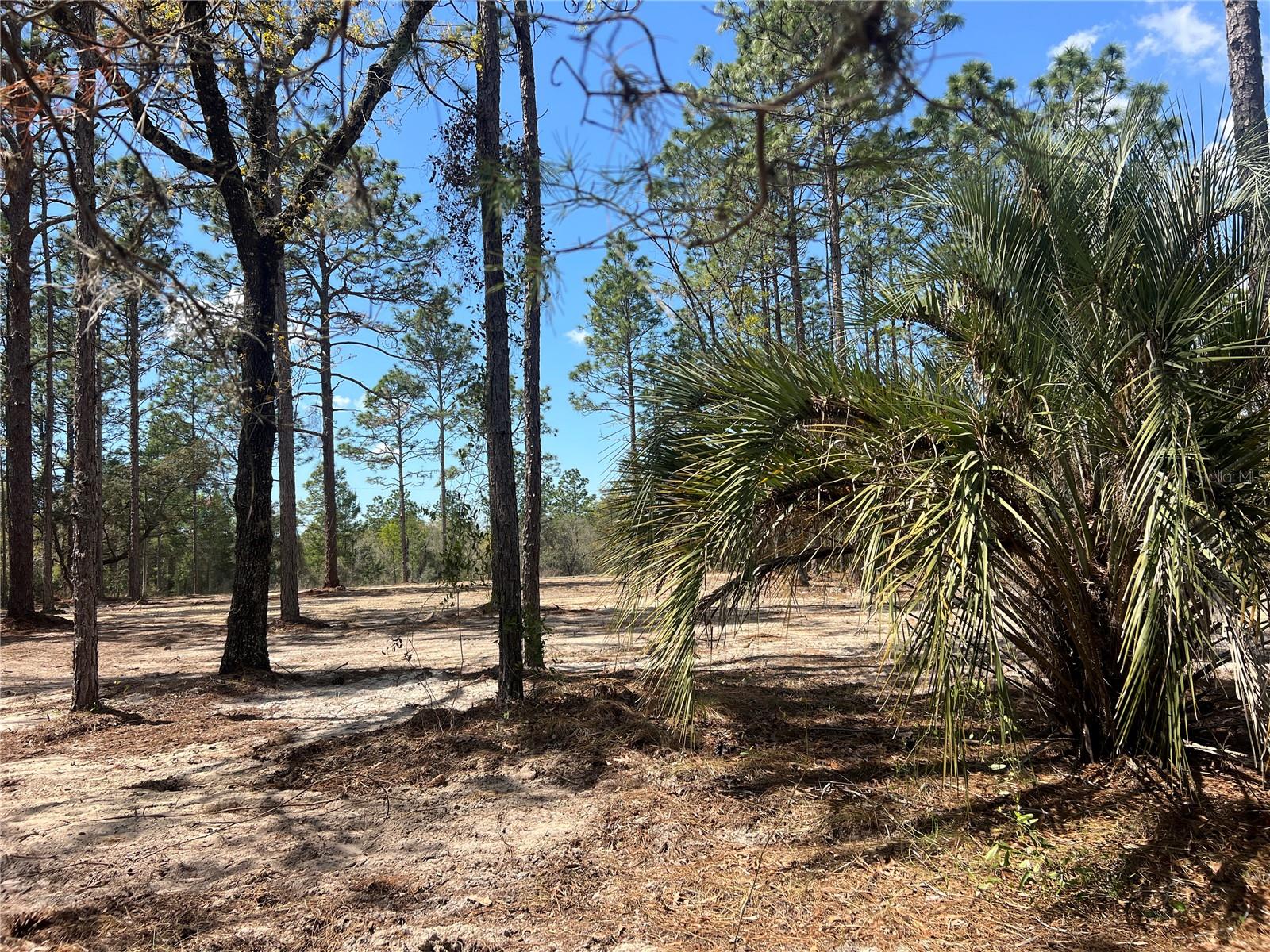 16 SE 136 TER, DUNNELLON, FL, 34431