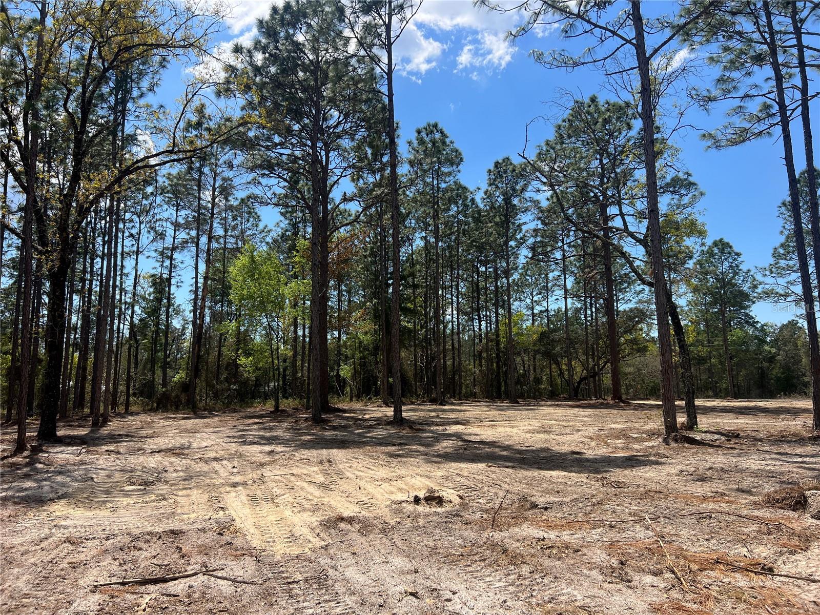 16 SE 136 TER, DUNNELLON, FL, 34431