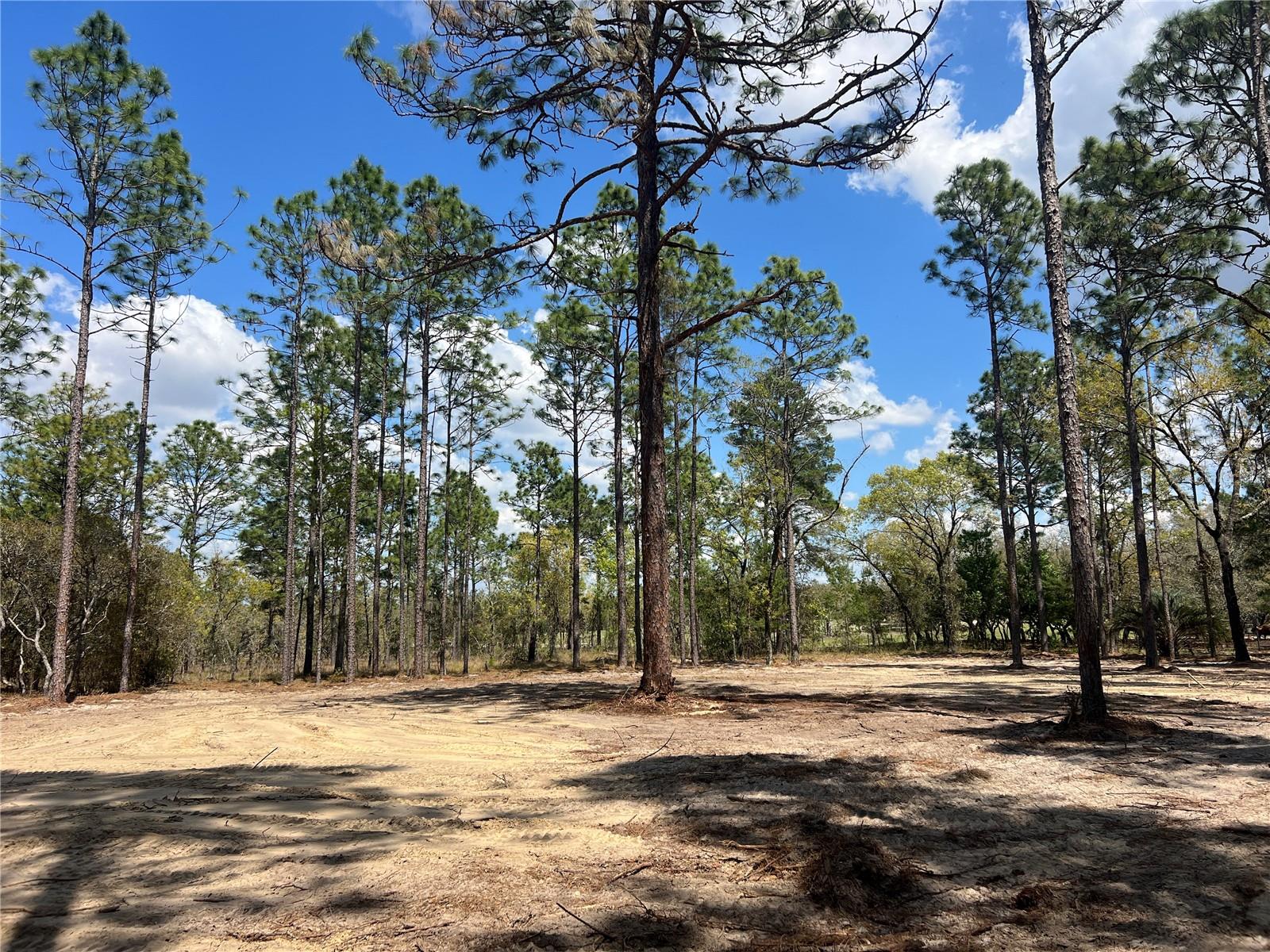 16 SE 136 TER, DUNNELLON, FL, 34431