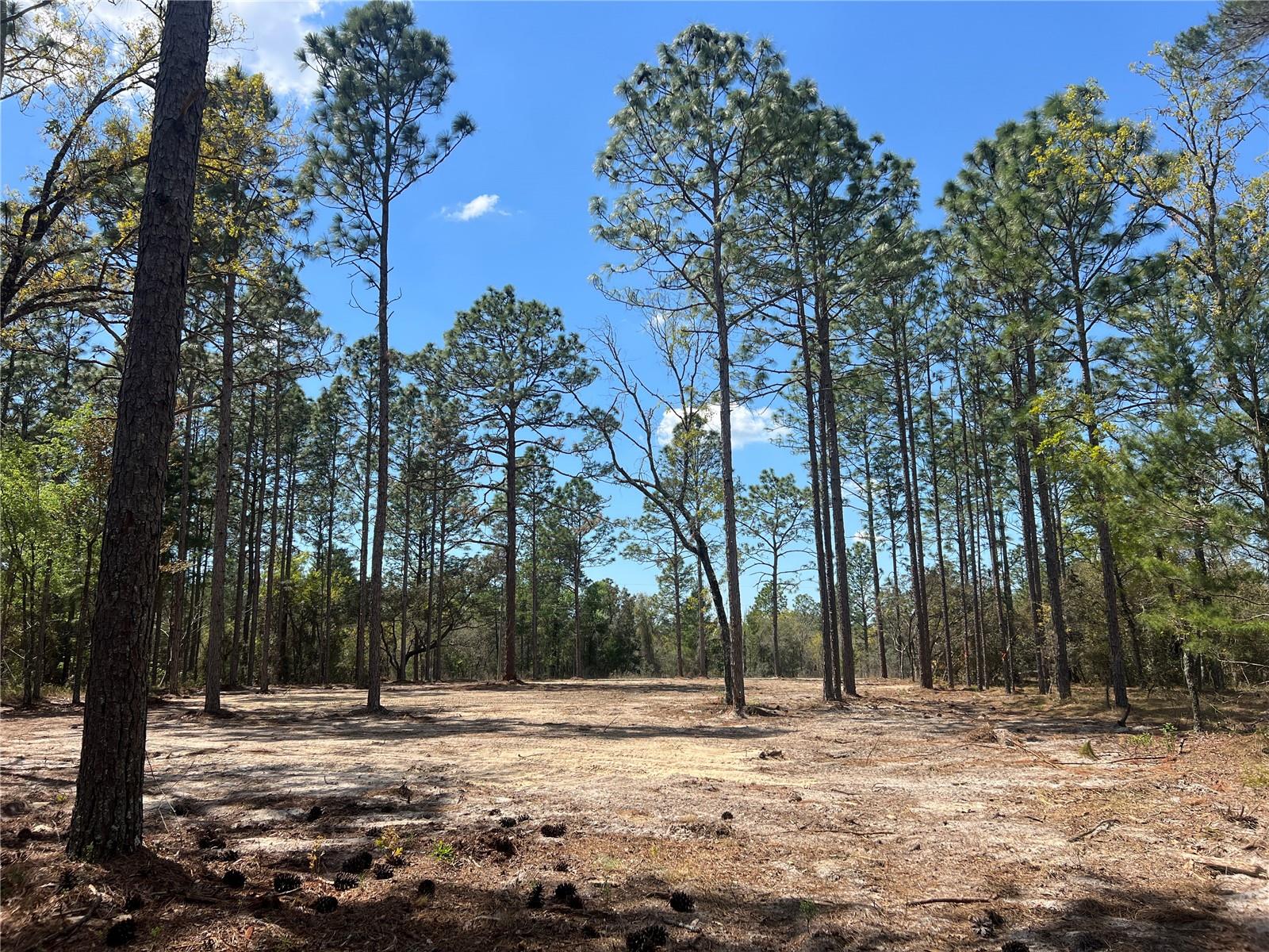 16 SE 136 TER, DUNNELLON, FL, 34431