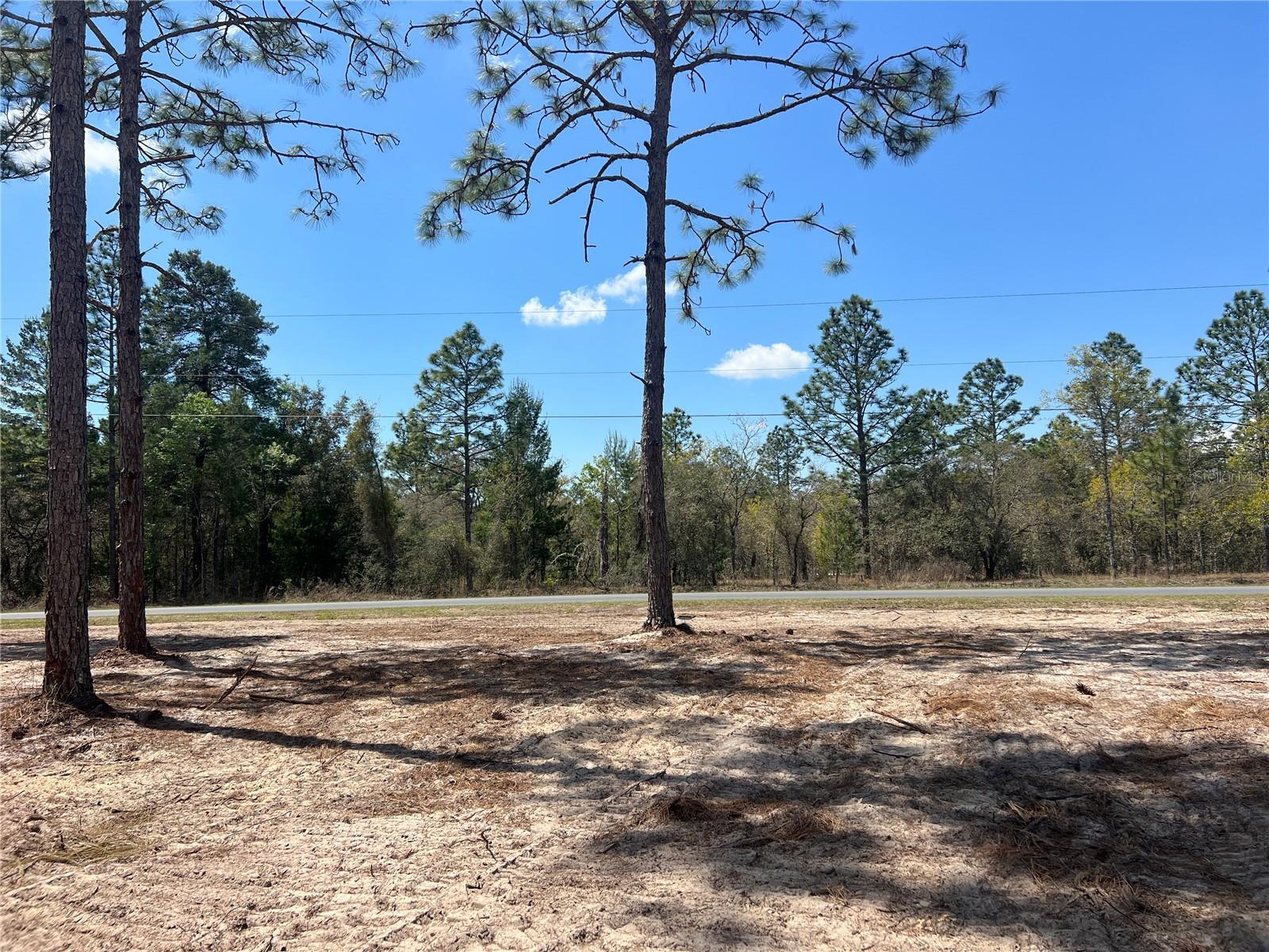 16 SE 136 TER, DUNNELLON, FL, 34431