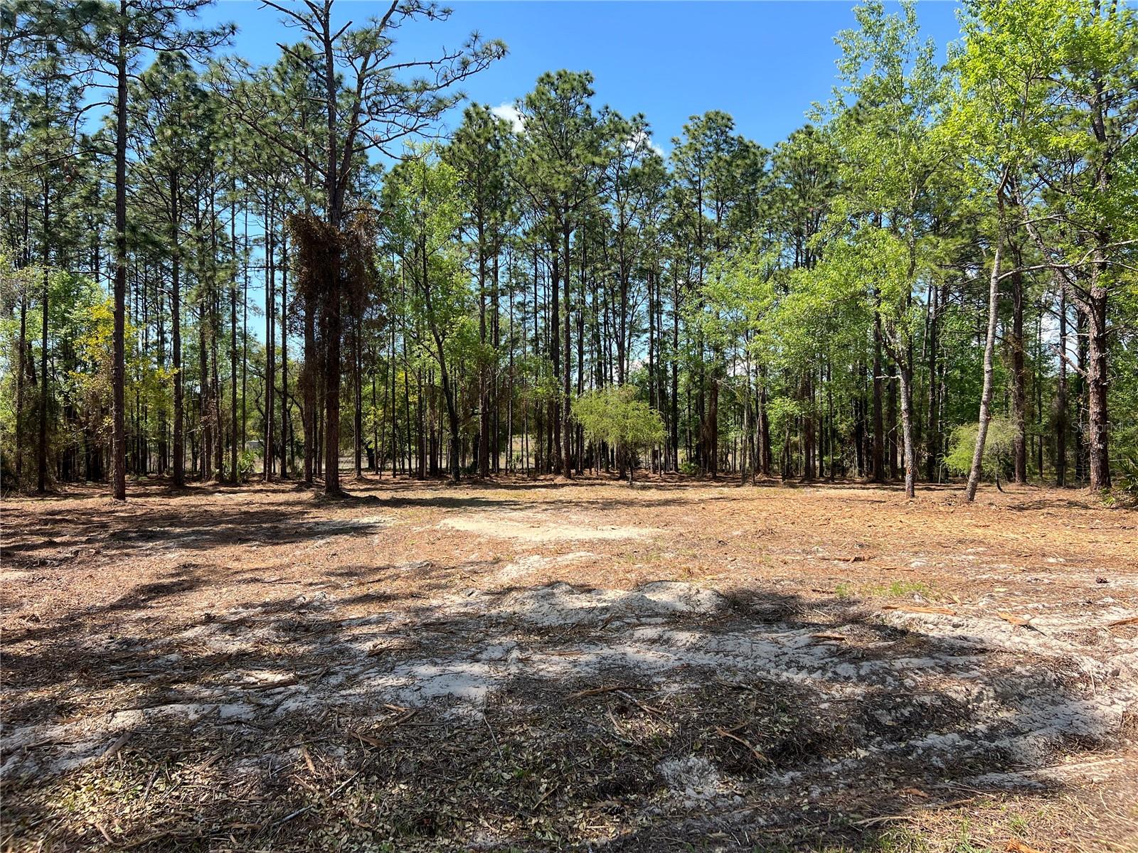 16 SE 136 TER, DUNNELLON, FL, 34431