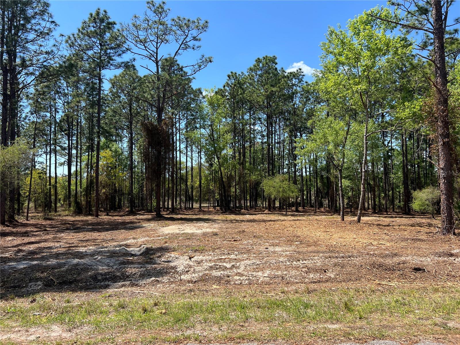 16 SE 136 TER, DUNNELLON, FL, 34431