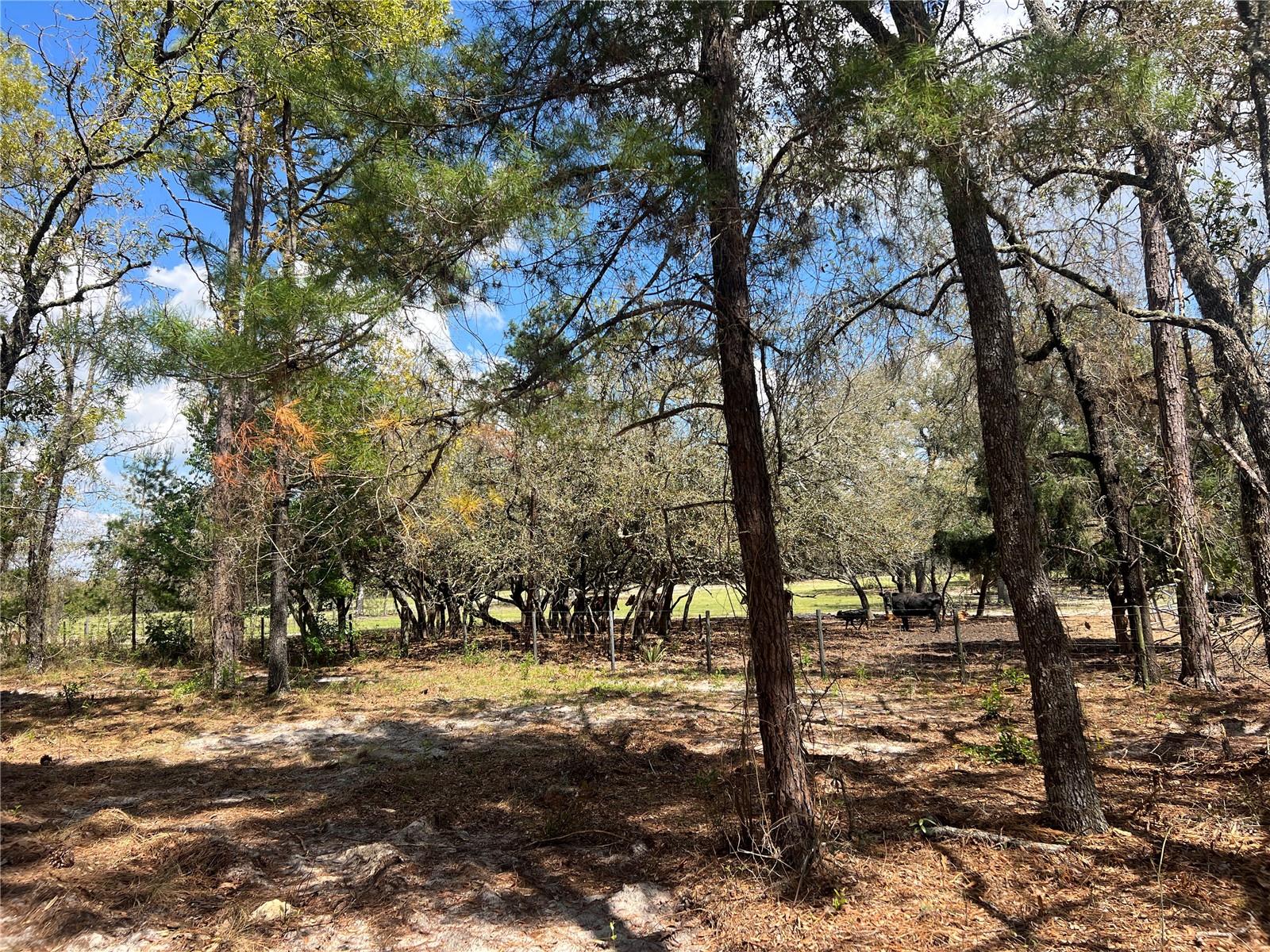 16 SE 136 TER, DUNNELLON, FL, 34431