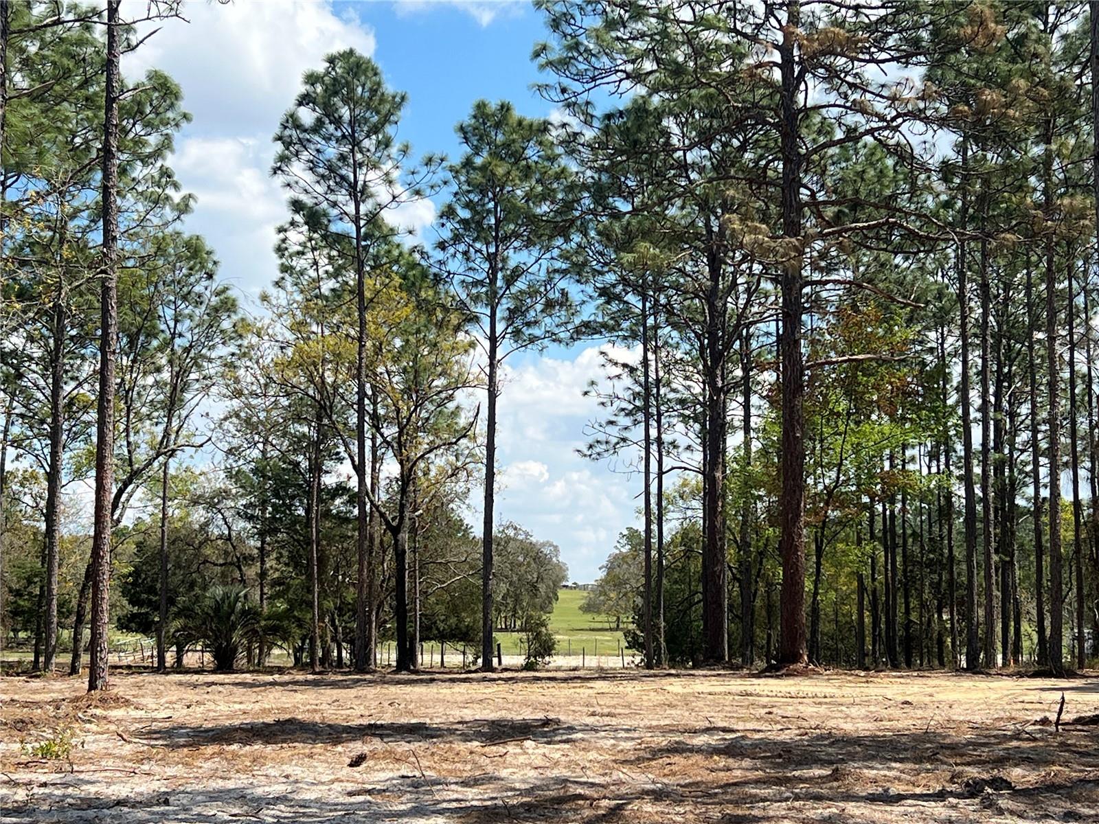 16 SE 136 TER, DUNNELLON, FL, 34431