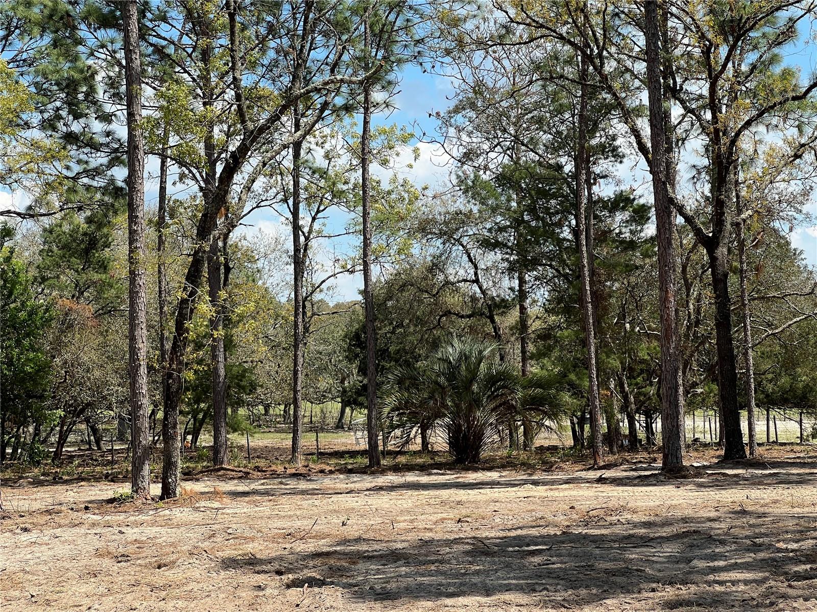 16 SE 136 TER, DUNNELLON, FL, 34431
