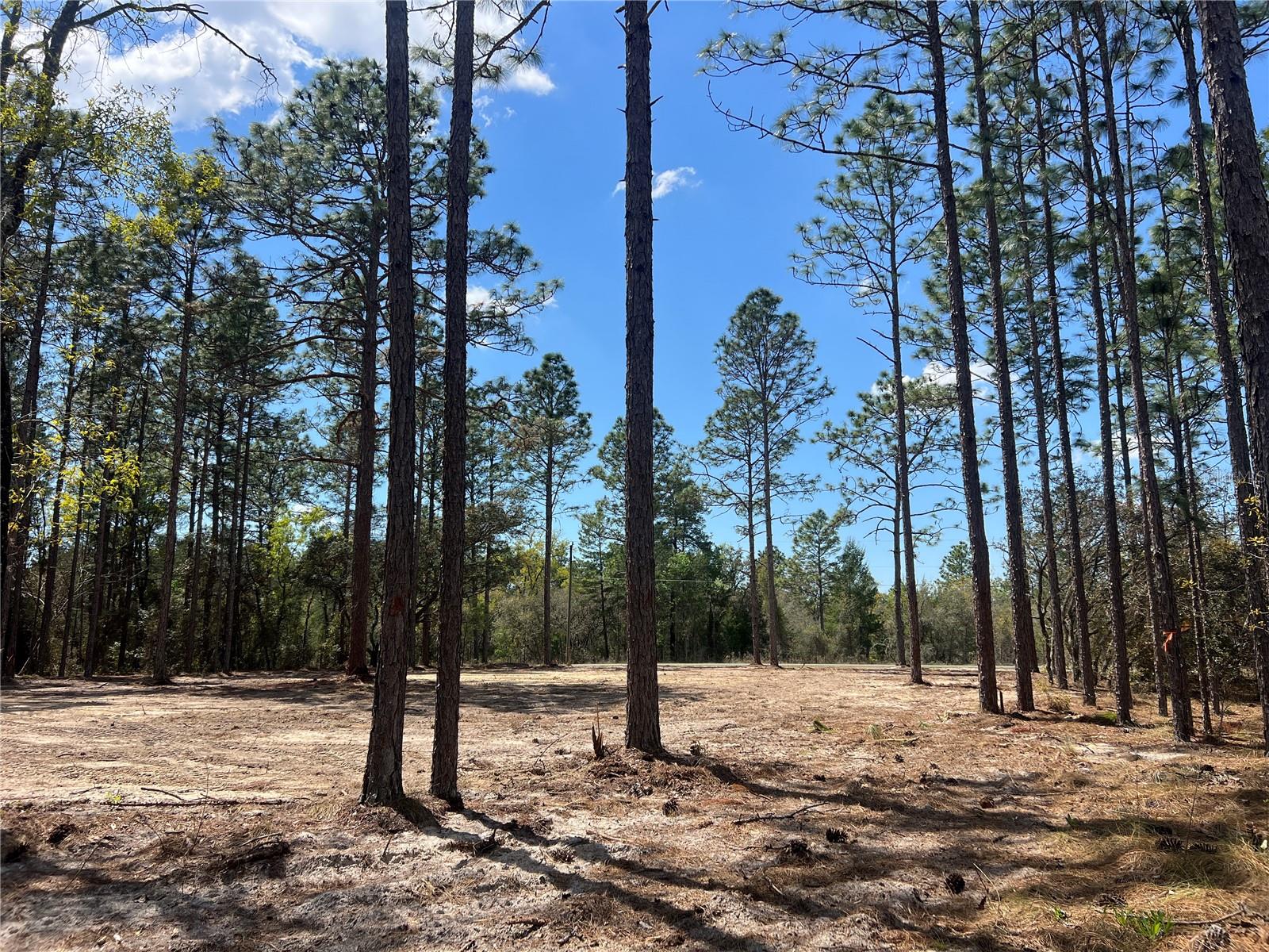 16 SE 136 TER, DUNNELLON, FL, 34431