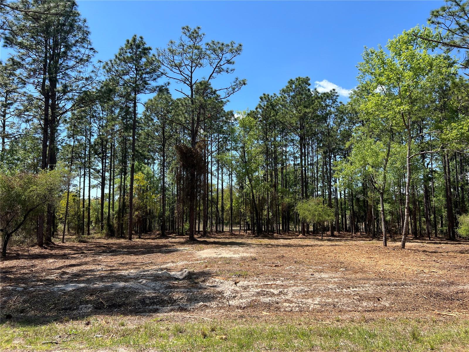 16 SE 136 TER, DUNNELLON, FL, 34431