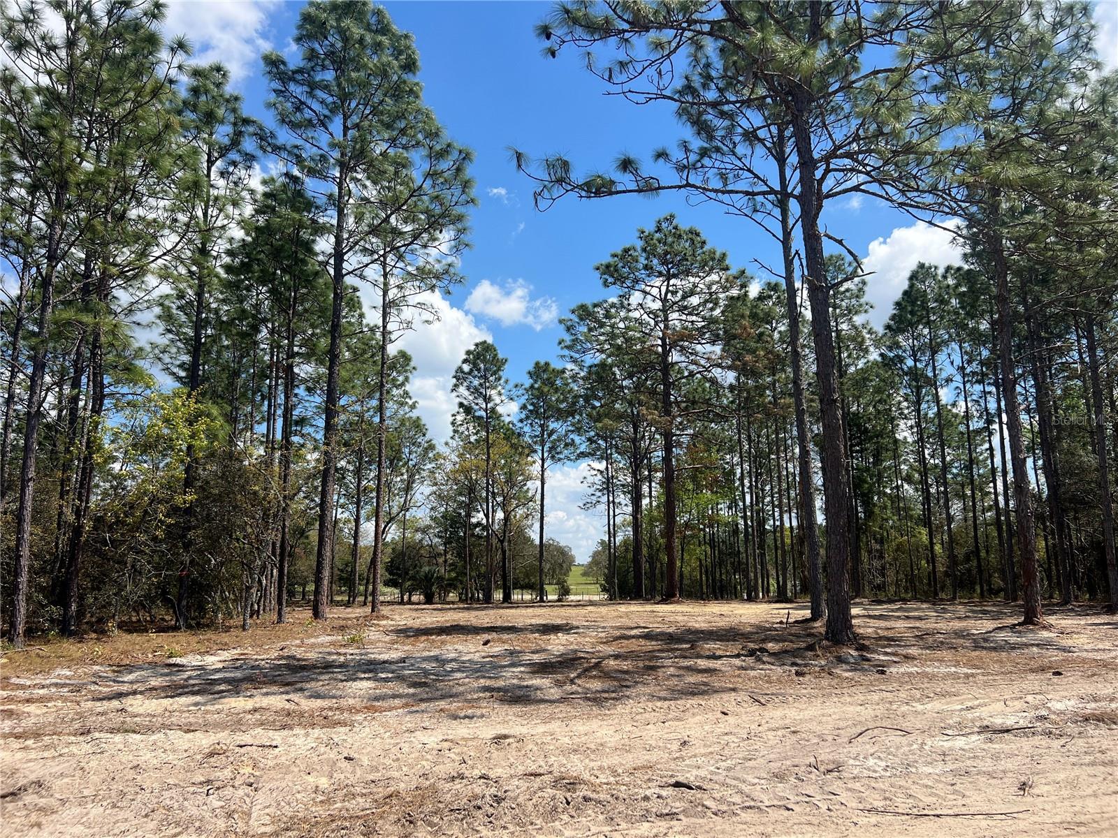 16 SE 136 TER, DUNNELLON, FL, 34431
