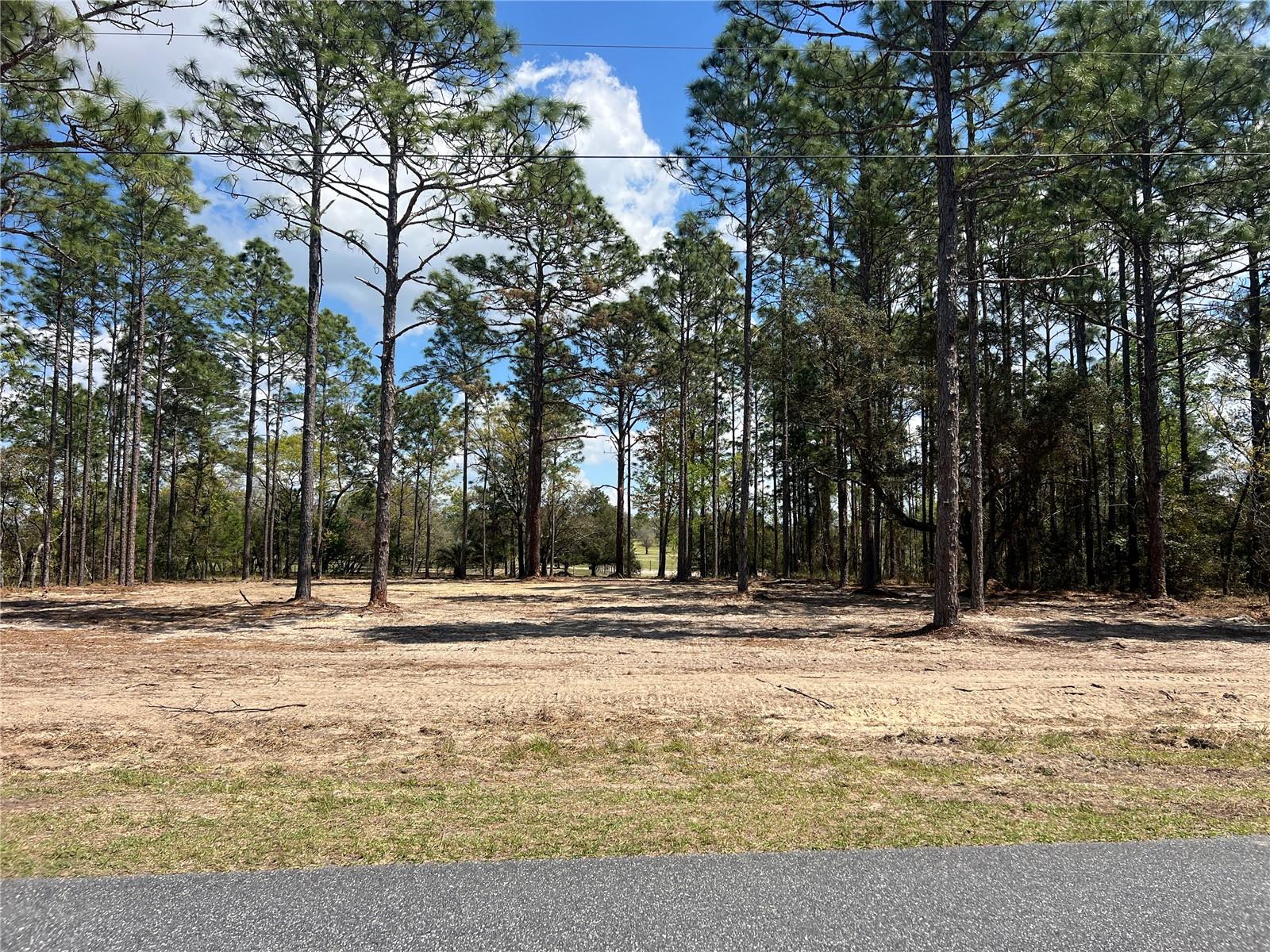 16 SE 136 TER, DUNNELLON, FL, 34431