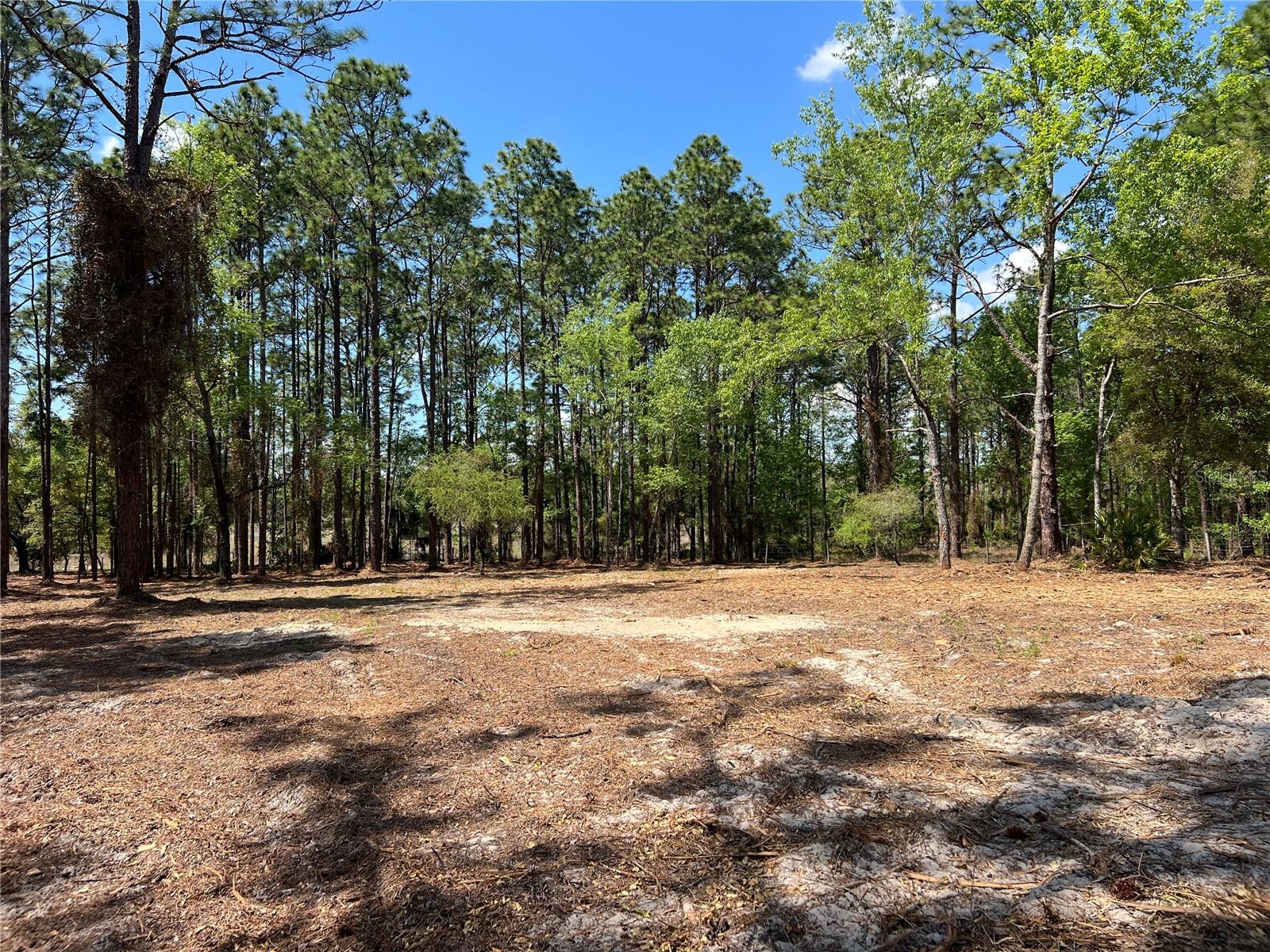 16 SE 136 TER, DUNNELLON, FL, 34431