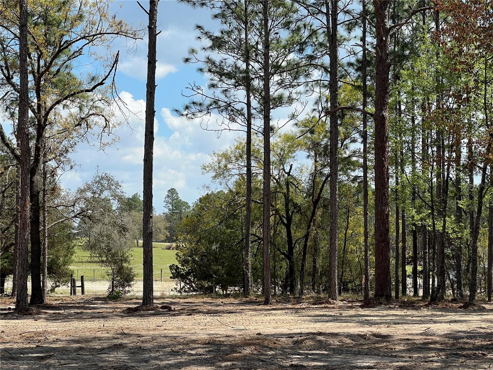 16 SE 136 TER, DUNNELLON, FL, 34431