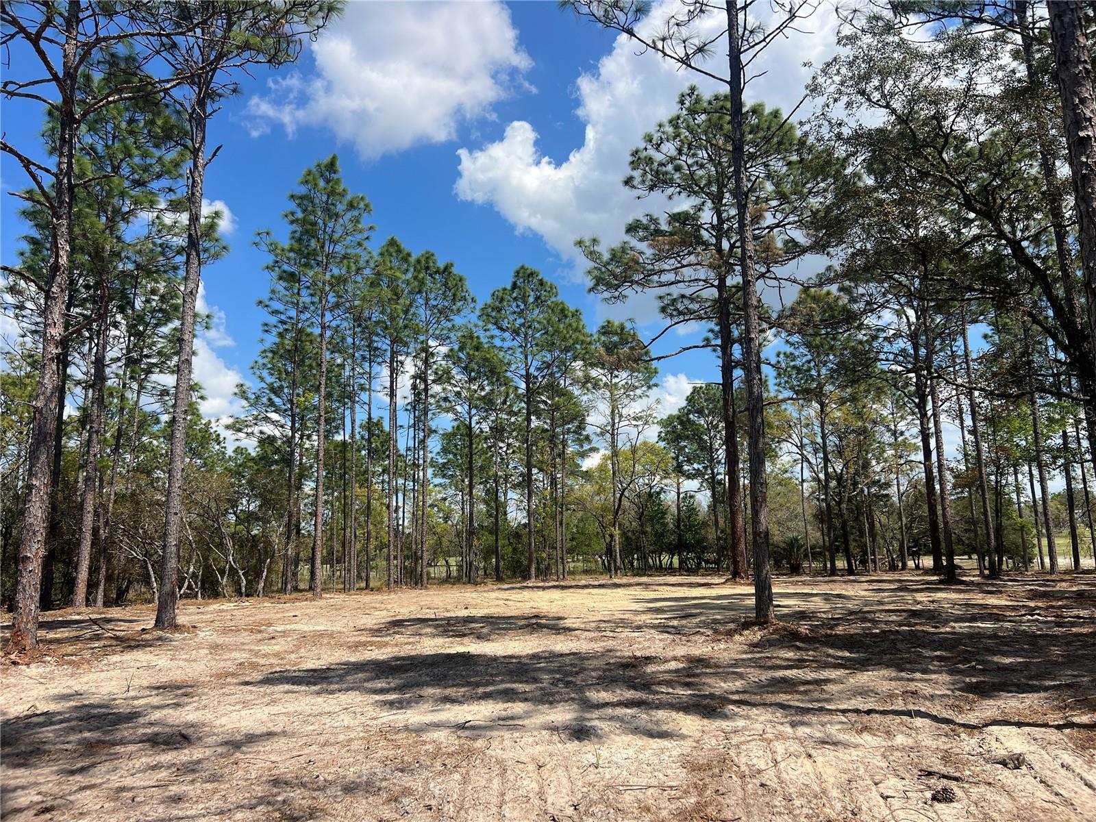 16 SE 136 TER, DUNNELLON, FL, 34431