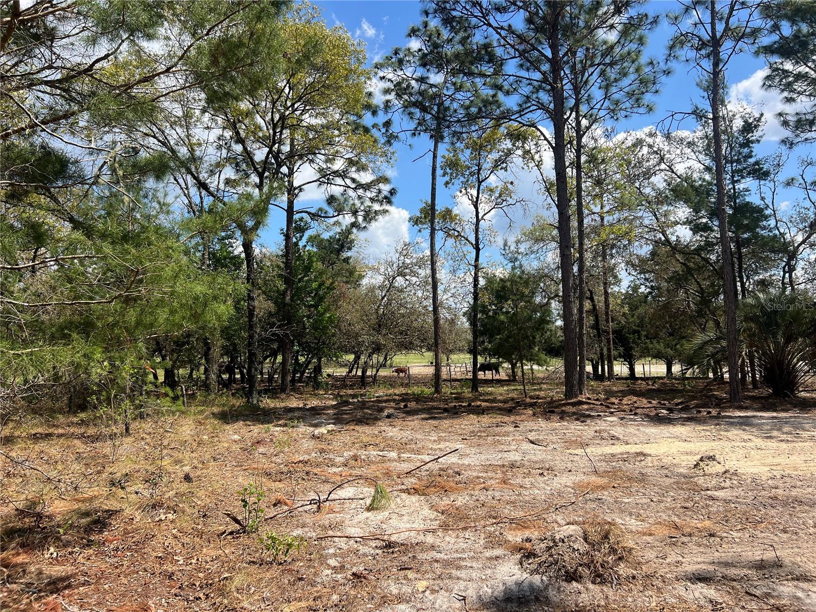 16 SE 136 TER, DUNNELLON, FL, 34431