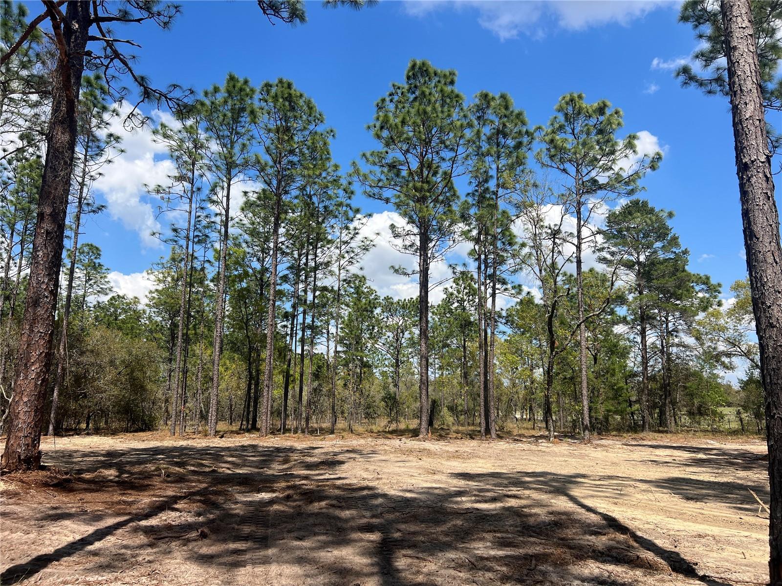 16 SE 136 TER, DUNNELLON, FL, 34431