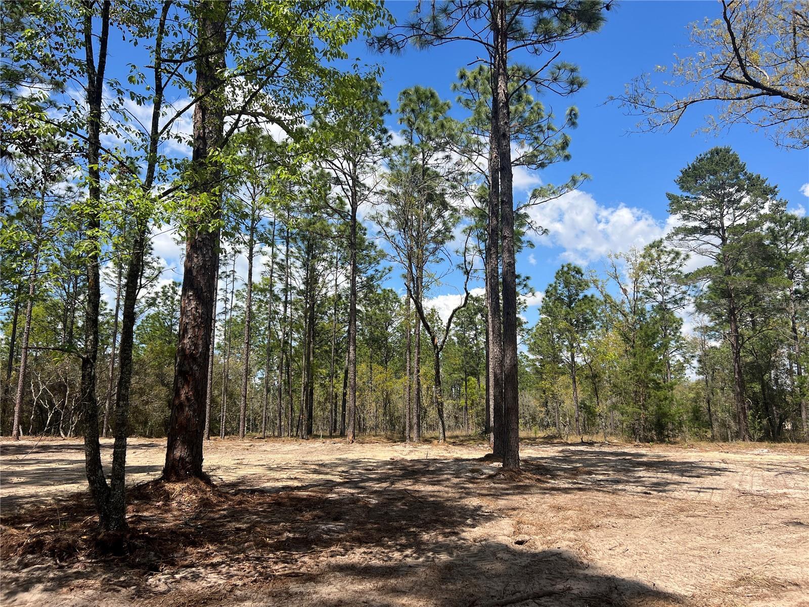 16 SE 136 TER, DUNNELLON, FL, 34431