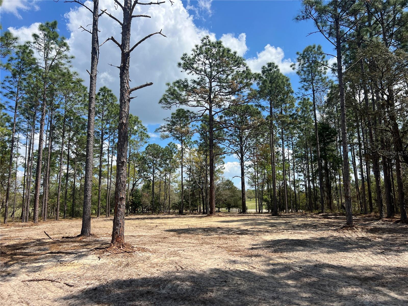 16 SE 136 TER, DUNNELLON, FL, 34431