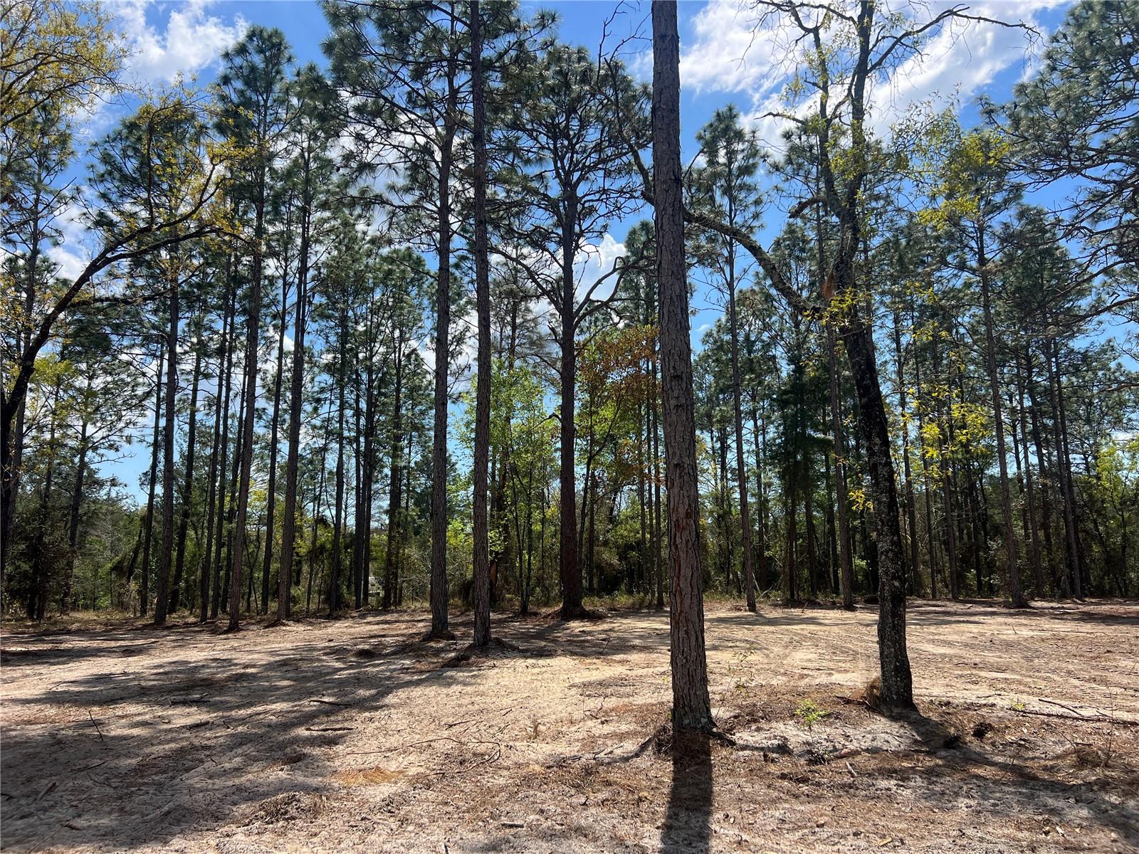 16 SE 136 TER, DUNNELLON, FL, 34431
