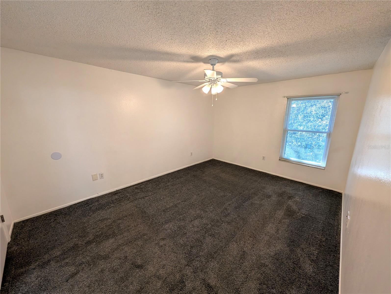 14211 SHADOW MOSS LN #202, TAMPA, FL, 33613
