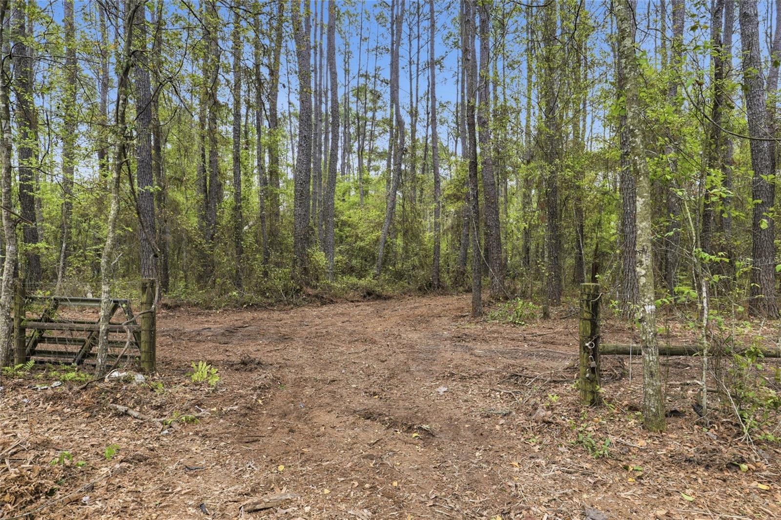 NW COUNTY ROAD 231, GAINESVILLE, FL, 32609
