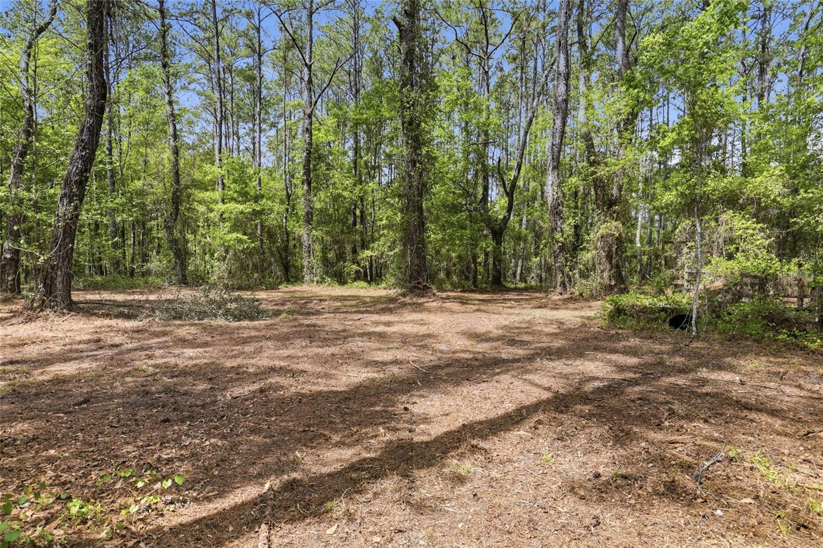 NW COUNTY ROAD 231, GAINESVILLE, FL, 32609