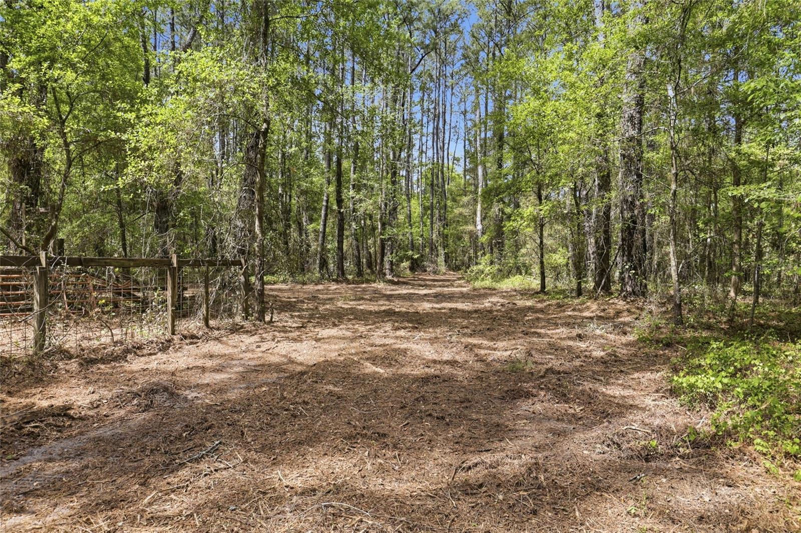NW COUNTY ROAD 231, GAINESVILLE, FL, 32609