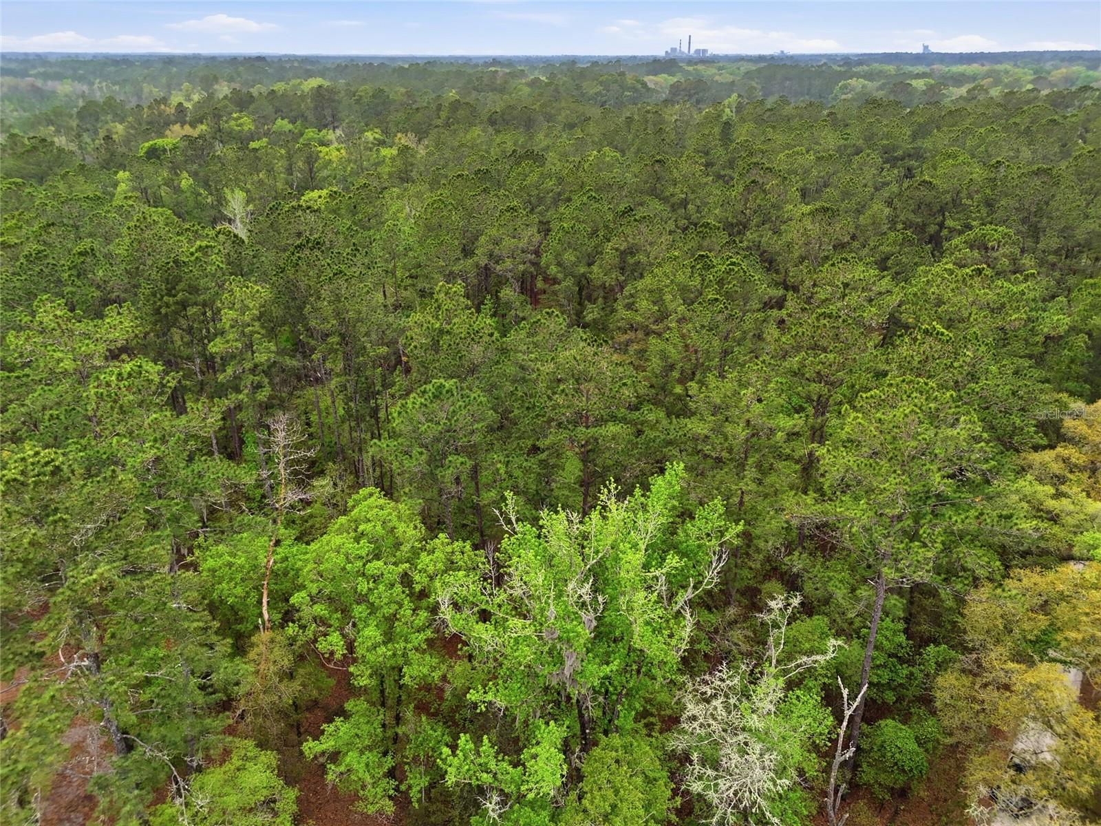 NW COUNTY ROAD 231, GAINESVILLE, FL, 32609