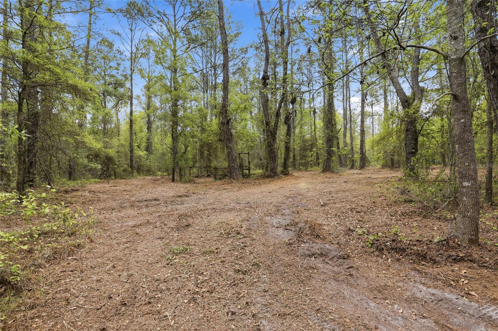 NW COUNTY ROAD 231, GAINESVILLE, FL, 32609