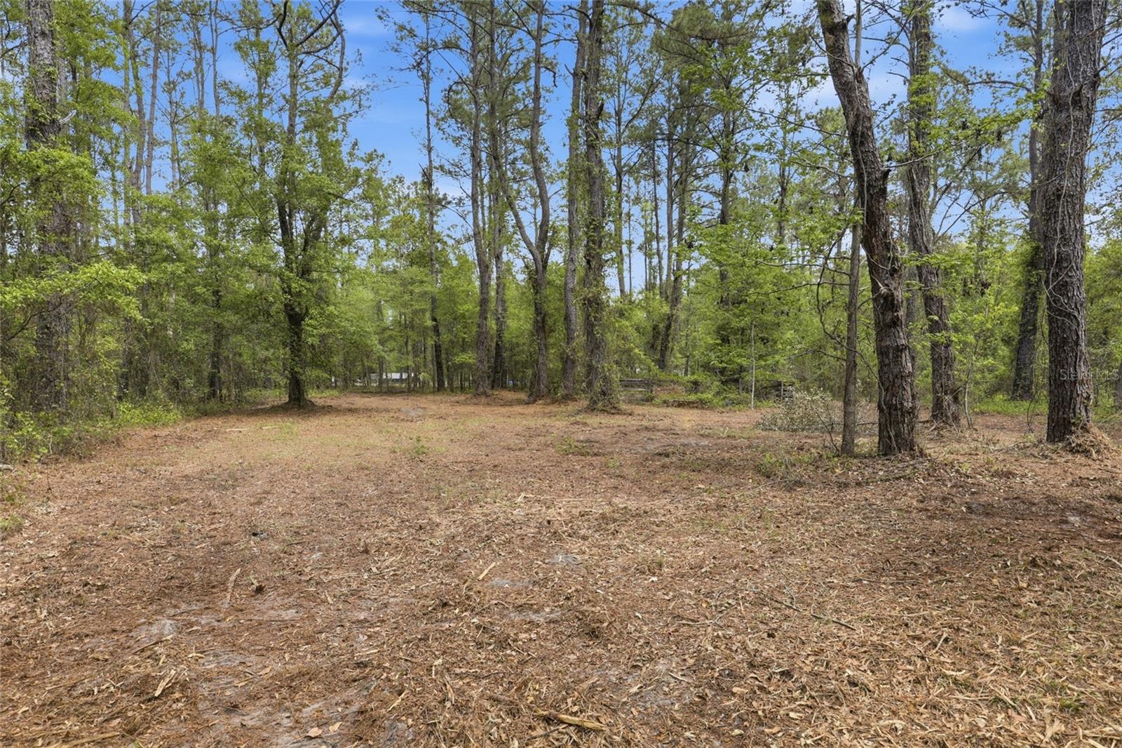 NW COUNTY ROAD 231, GAINESVILLE, FL, 32609