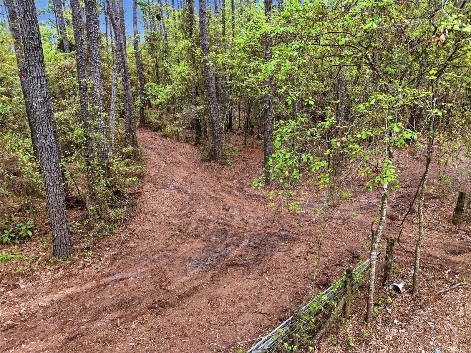 NW COUNTY ROAD 231, GAINESVILLE, FL, 32609