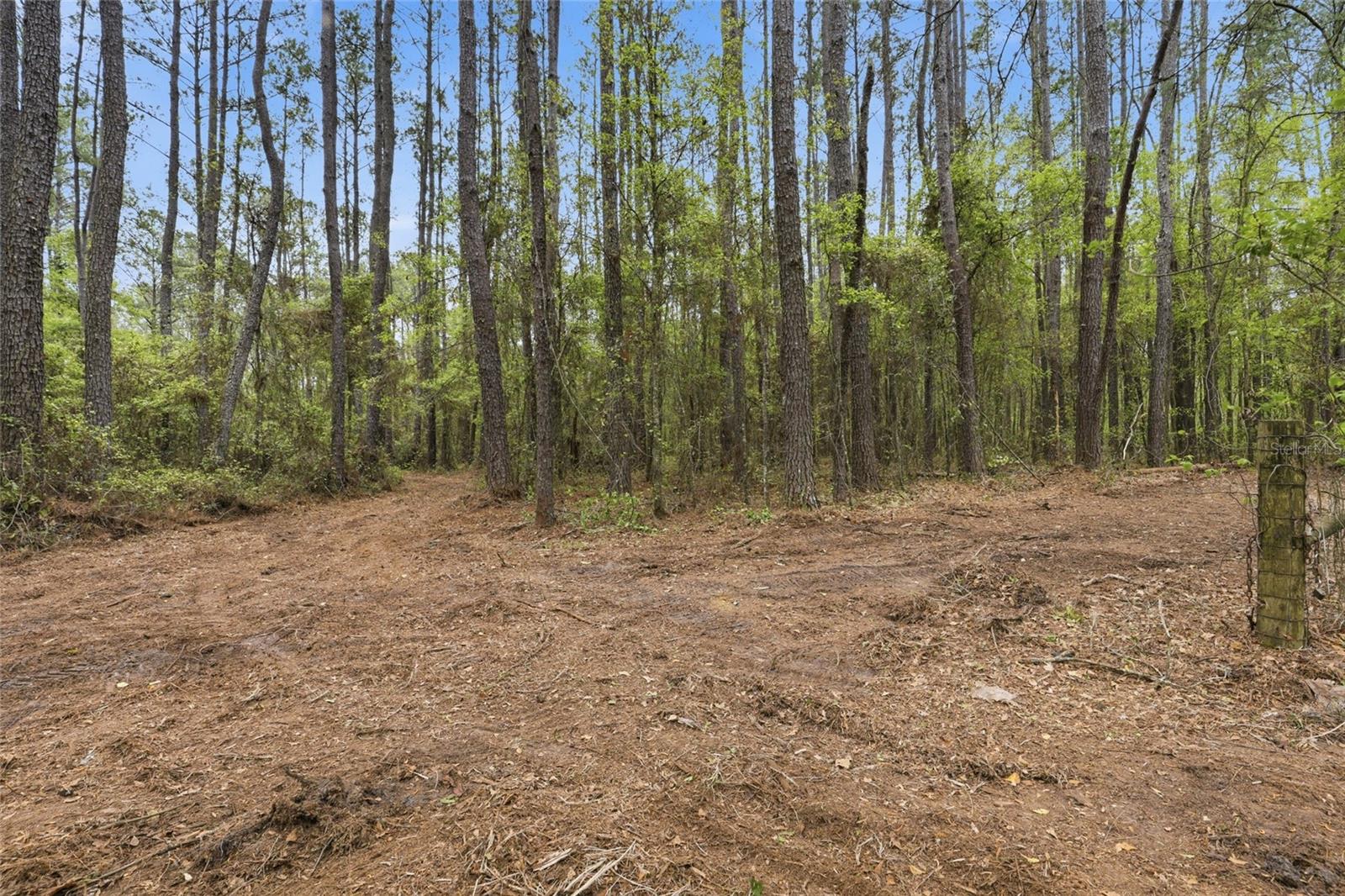 NW COUNTY ROAD 231, GAINESVILLE, FL, 32609