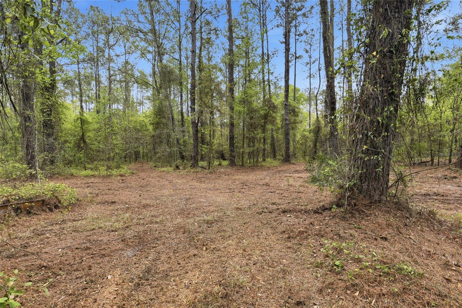 NW COUNTY ROAD 231, GAINESVILLE, FL, 32609