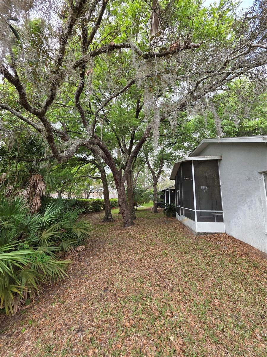 10904 BROOKHAVEN DR, NEW PORT RICHEY, FL, 34654