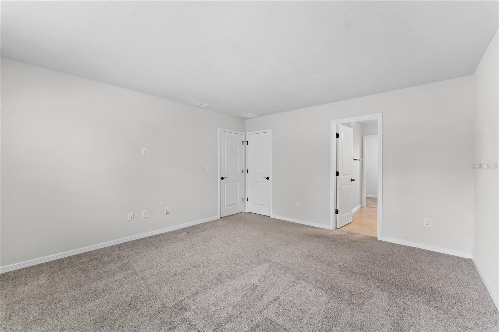20602 MONZA LOOP, LAND O LAKES, FL, 34638