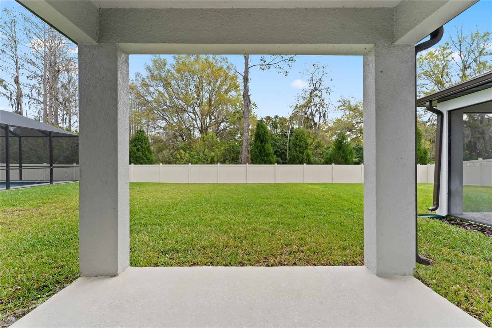 20602 MONZA LOOP, LAND O LAKES, FL, 34638
