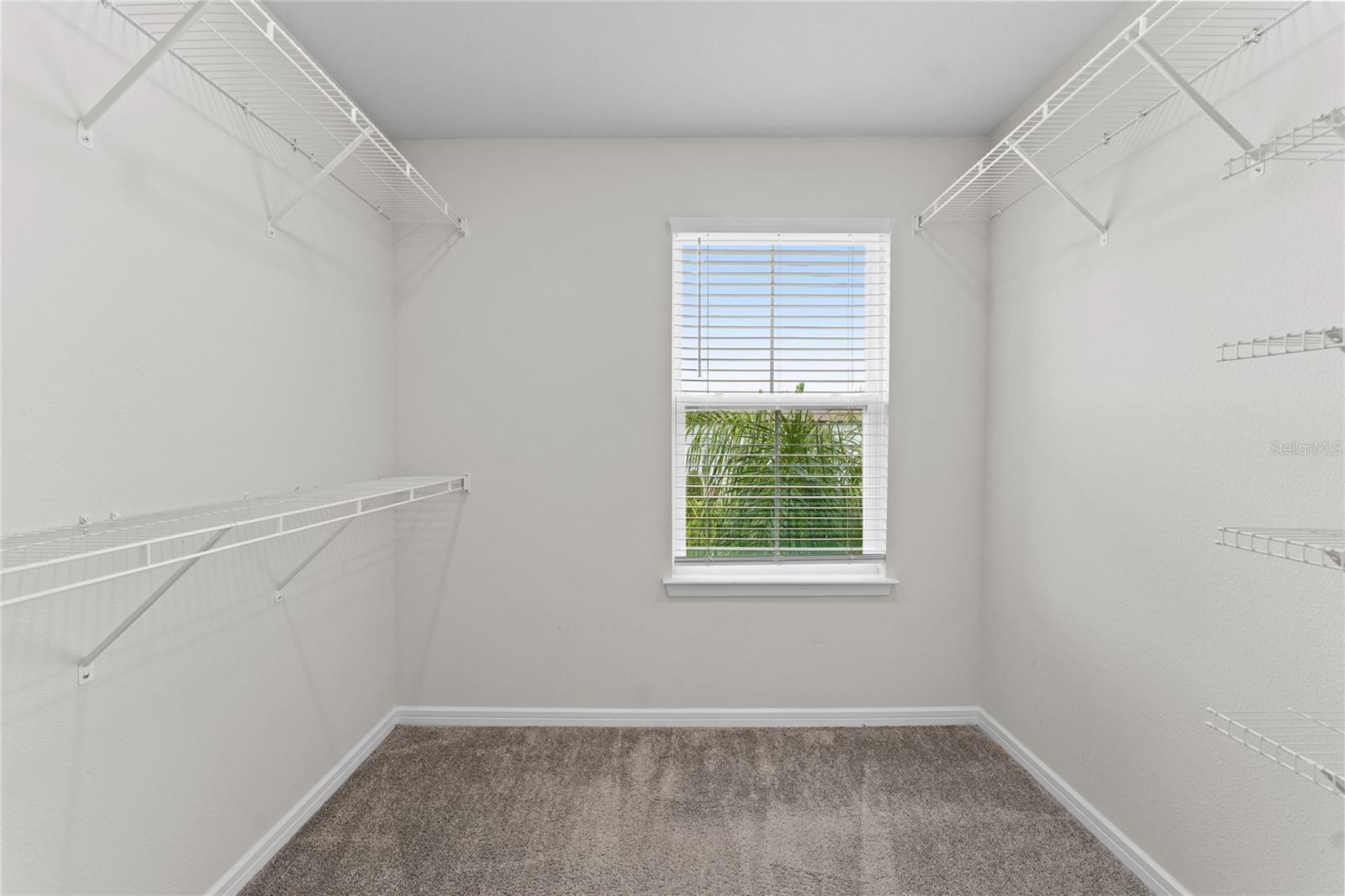 20602 MONZA LOOP, LAND O LAKES, FL, 34638