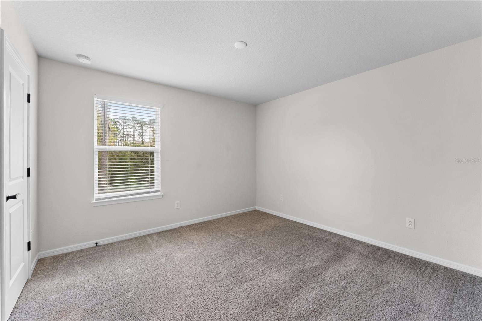 20602 MONZA LOOP, LAND O LAKES, FL, 34638